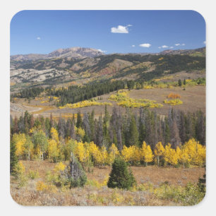 Bridger-Teton Nationalforst Quadratischer Aufkleber
