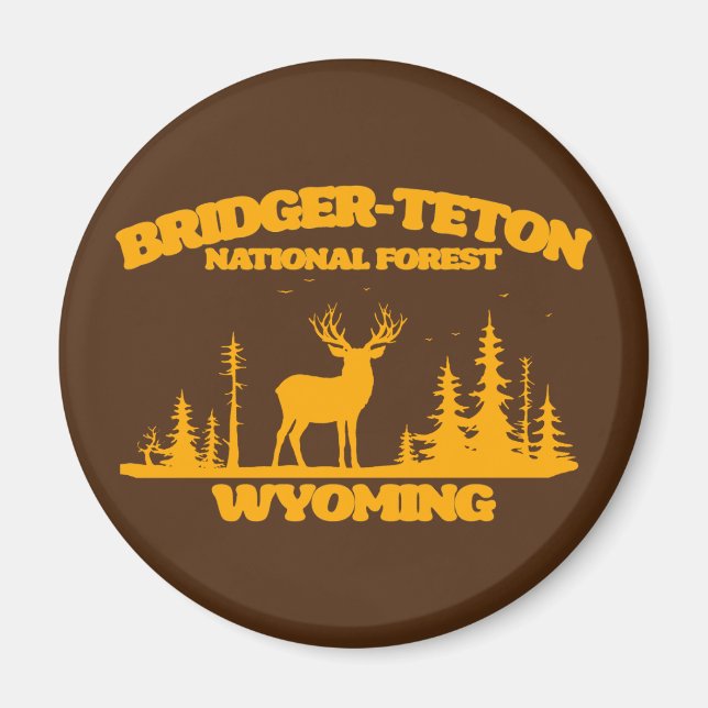 Bridger-Teton-Nationalwald Magnet (Vorne)