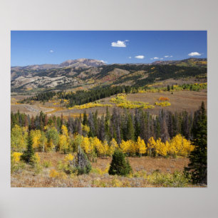 Bridger-Teton-Nationalwald Poster