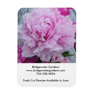 Bridgewater Gardens Peonies Magnet