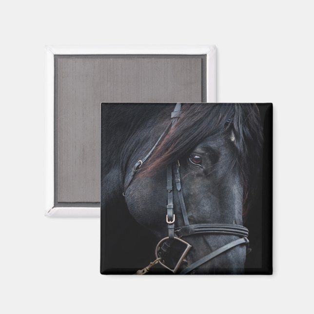 Bridled Black Stallion Face Magnet (Vorderseite/Rückseite)