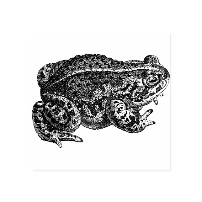 Briefmarke aus Frosch Gummistempel (Prägung)