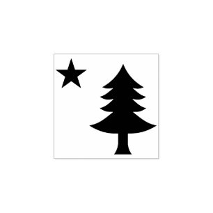 Briefmarke der Maine-Flagge 1901 Gummistempel