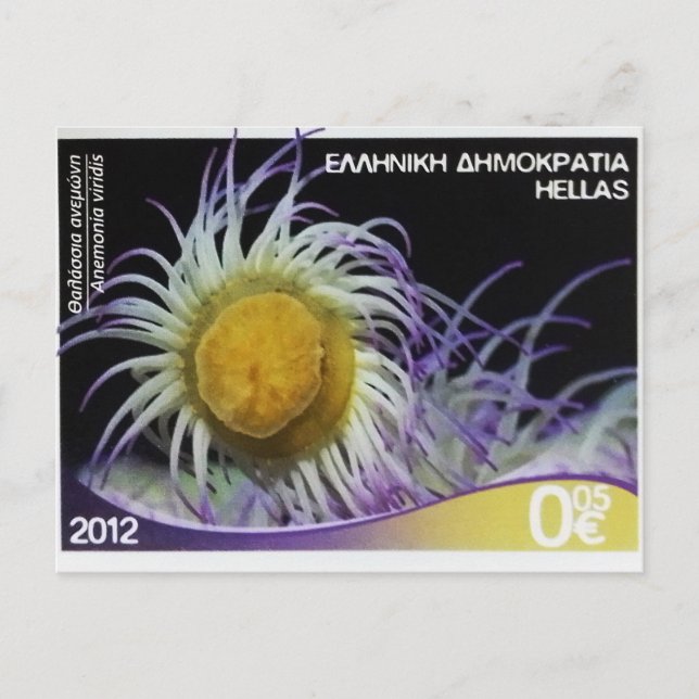 Briefmarke Snakelocks anemone Postkarte (Vorderseite)