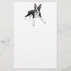 Briefpapier Bostons Terrier