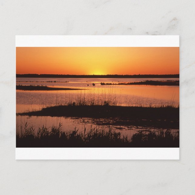 Brigantine NWR at Sunset.jpg Postkarte (Vorderseite)