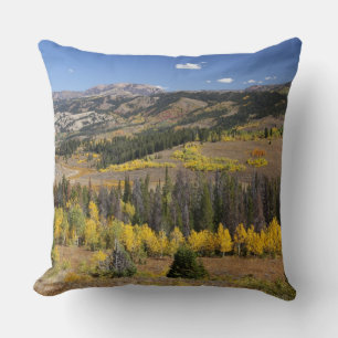 Brigger-Teton-Nationalwald Kissen