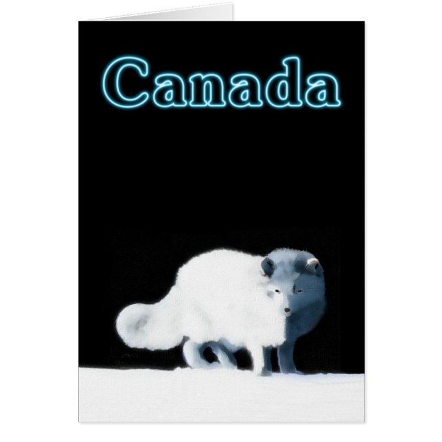 Bright Arctic Fox (Vorne)