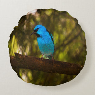Bright Blue Bird Rundes Kissen
