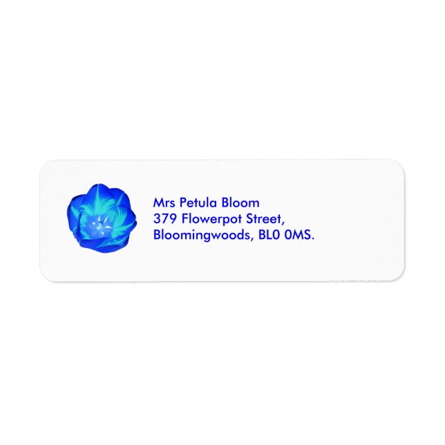 Bright Blue Tulip Custom (Vorne)