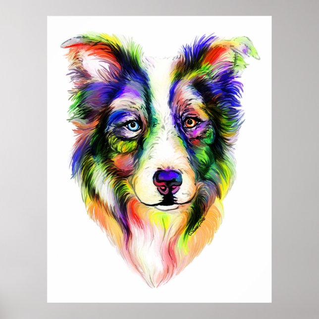 Bright Border Collie Poster (Vorne)