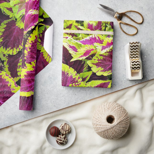 Bright Coleus Leaf Design Geschenkpapier (Kunsthandwerk)