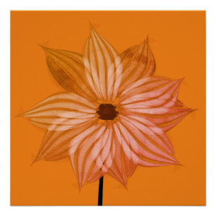 Bright Fall Blumen Poster