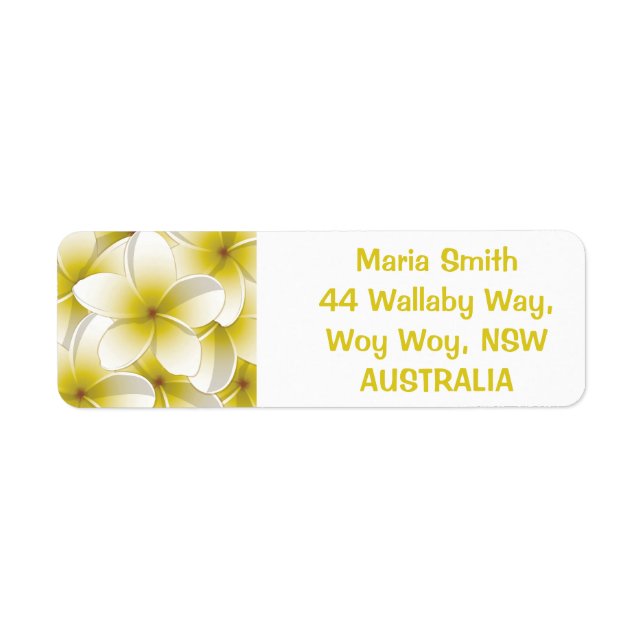 Bright Frangipani/ Plumeria flowers (Vorne)