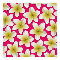 Bright Frangipani/ Plumeria flowers
