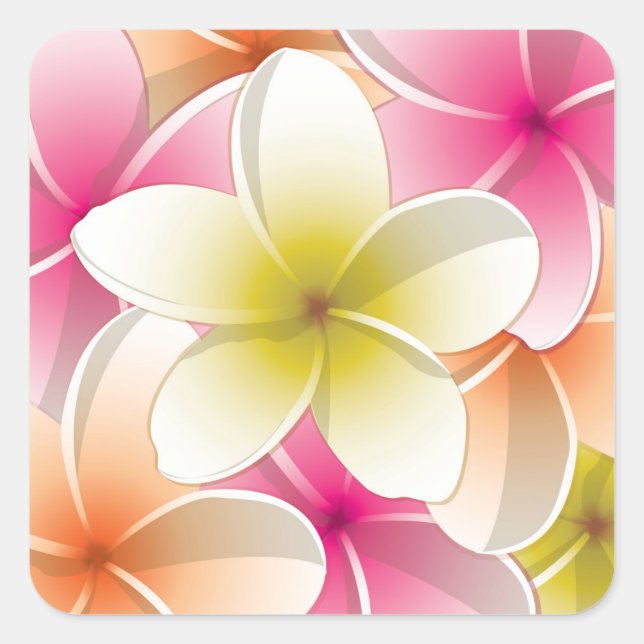Bright Frangipani/ Plumeria flowers Quadratischer Aufkleber (Vorderseite)