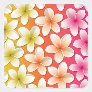 Bright Frangipani/ Plumeria flowers Quadratischer Aufkleber