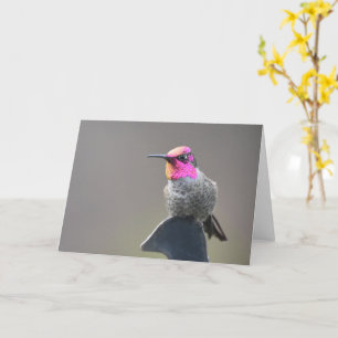 Bright Hummingbird - Carte d'art encadrée