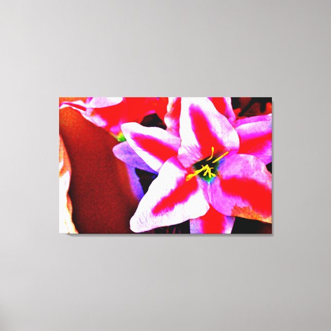 Bright Lily Leinwanddruck (Vorderseite)