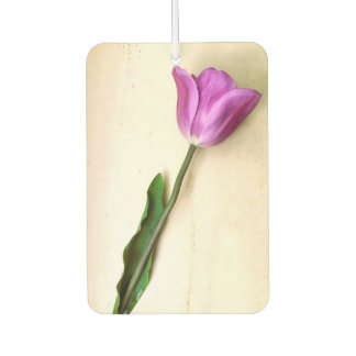 Bright Magenta Tulip Autolufterfrischer