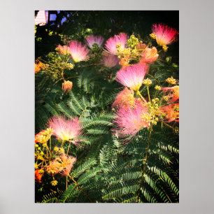 Bright Mimosa Bloom Poster