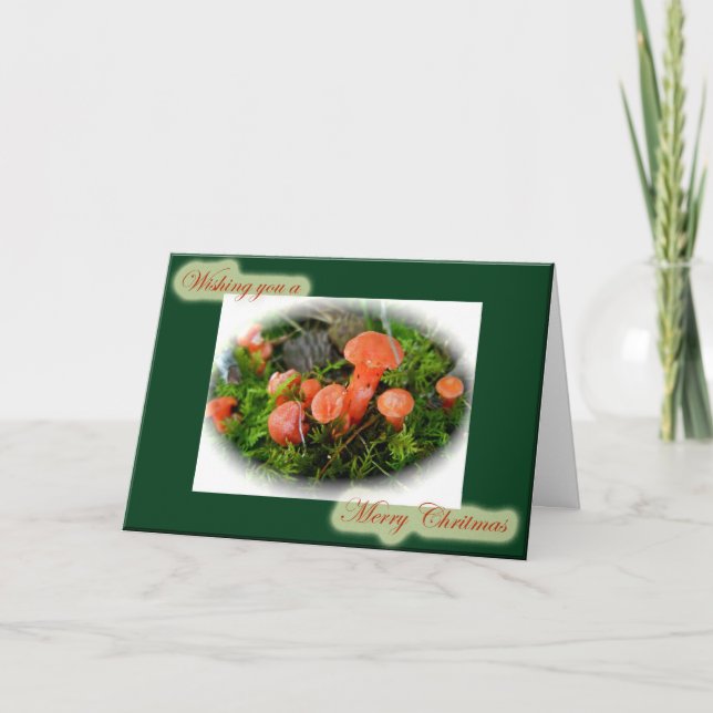 Bright Mushrooms Weihnachtskarte Feiertagskarte (Vorderseite)