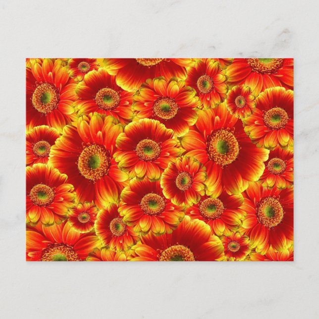 Bright Orange Flowers Postkarte (Vorderseite)