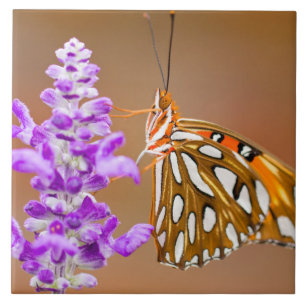 Bright Orange Gulf Fritillary Butterfly Fliese