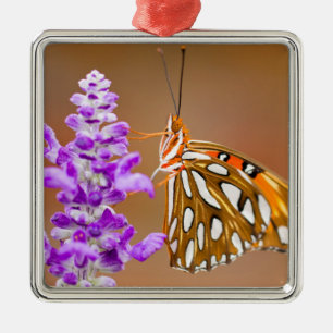 Bright Orange Gulf Fritillary Butterfly Silbernes Ornament