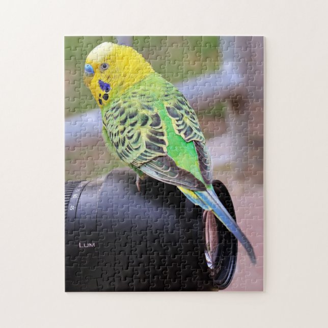 Bright Parakeet Bird auf Camera Lens (Vertikal)