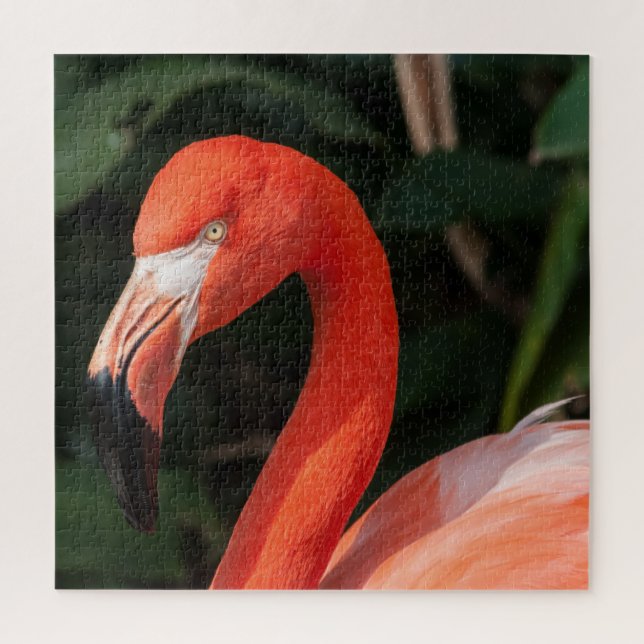 Bright Pink Flamingo (Vertikal)