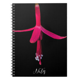 Bright Pink Fuchsia Flower on Black Notizblock