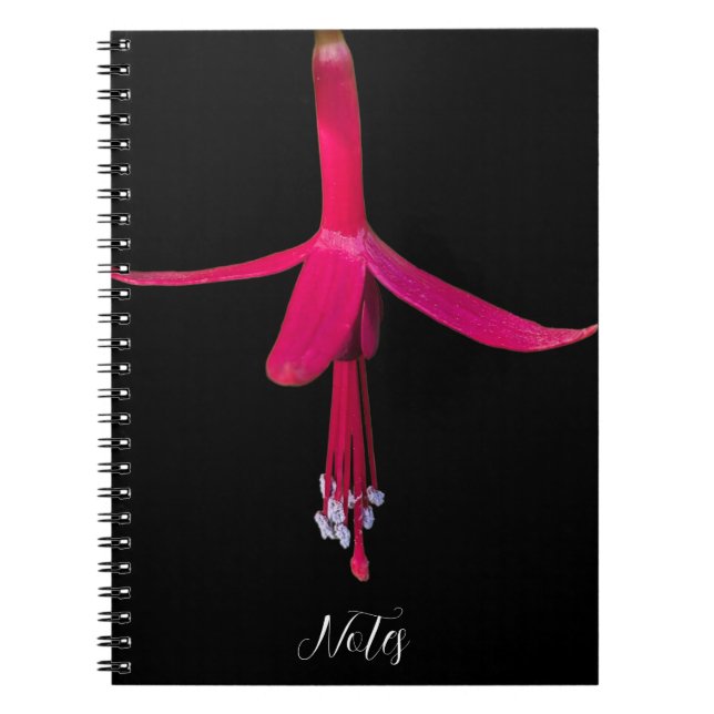 Bright Pink Fuchsia Flower on Black Notizblock (Vorderseite)