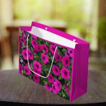Bright Pink Petunias Floral