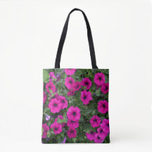 Bright Pink Petunias Floral