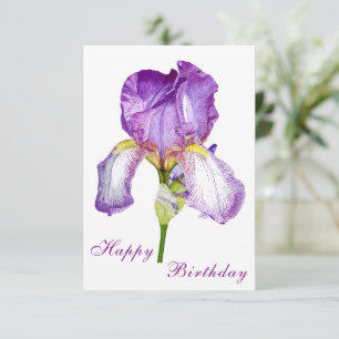 Bright Purple Iris Bonne Carte Postale Anniversair