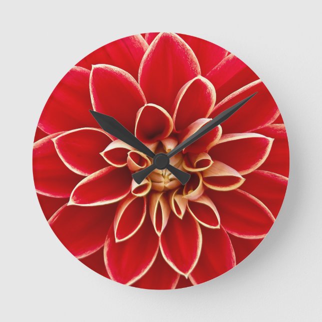 Bright Red Dahlia Flower Runde Wanduhr (Vorderseite)