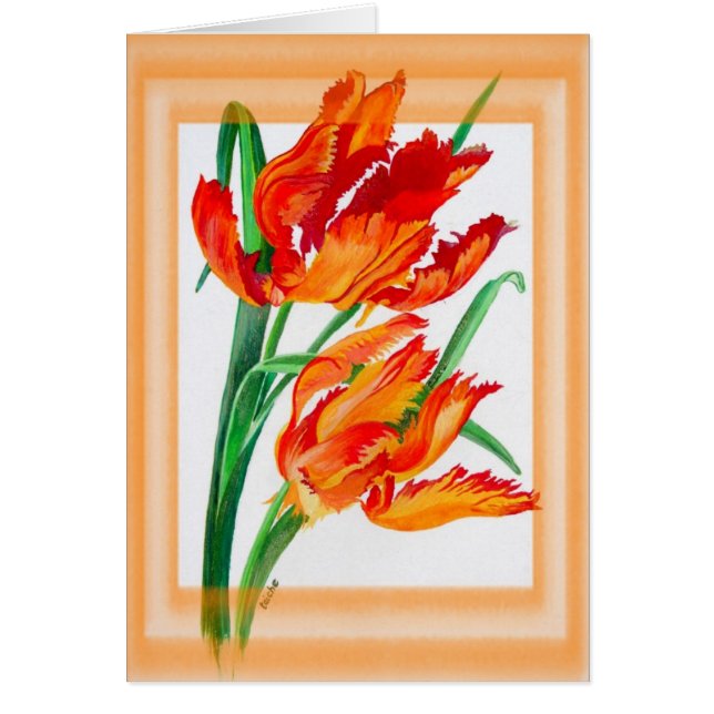 Bright Red Flamboyant Parrot Tulips (Vorne)