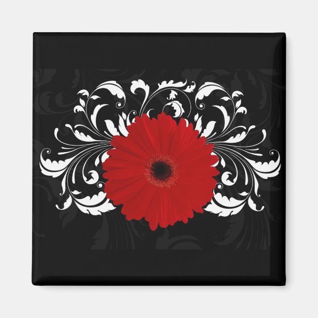 Bright Red Gerbera Daisy auf Black Magnet (Vorne)