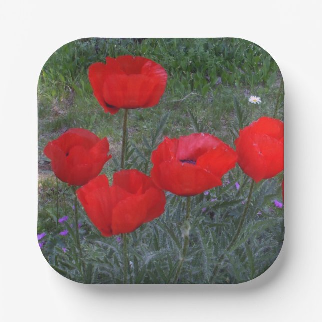 Bright Red Poppies Pappteller (Vorderseite)