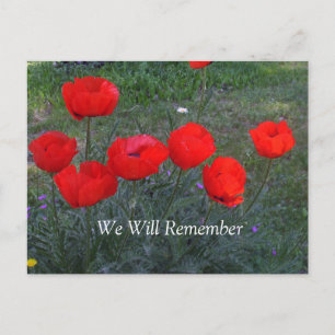 Bright Red Poppies Postkarte