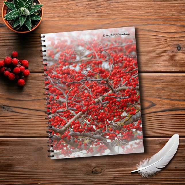 Bright Red Winterberries Holly Trees Berries Notizblock (Bright Red Winterberries Journal Cover Photo)