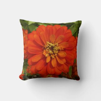 Bright Red Zinnia Trend Kissen