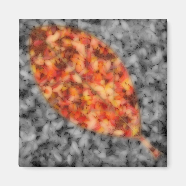 Bright Shadows Magnet (Vorne)