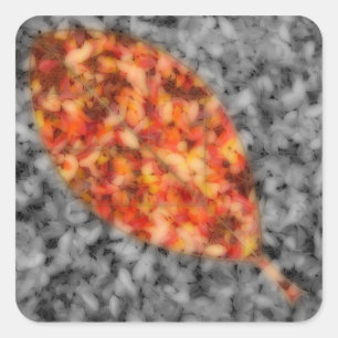 Bright Shadows Stickers