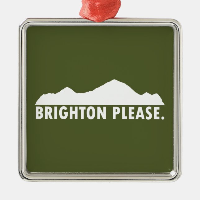 Brighton Bitte Ornament Aus Metall (Vorne)