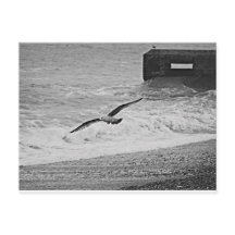 Brighton