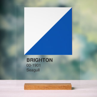 Brighton Seagull bleu et blanc - Arrière - plan cl