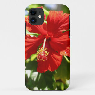 Brillante Blume des Roten Hawaiianischen Hibiskus title_seo2