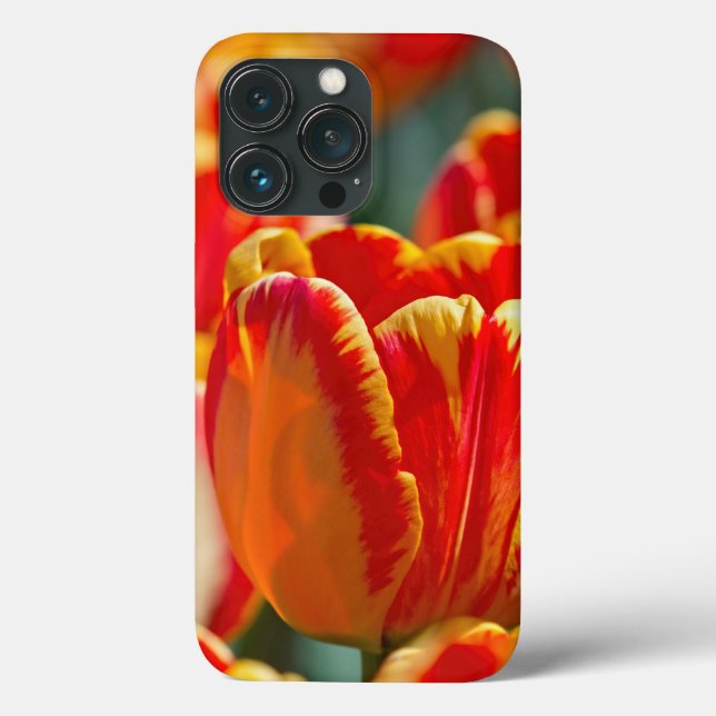 Brillante Farbtupfer Case-Mate iPhone Hülle (Rückseite)